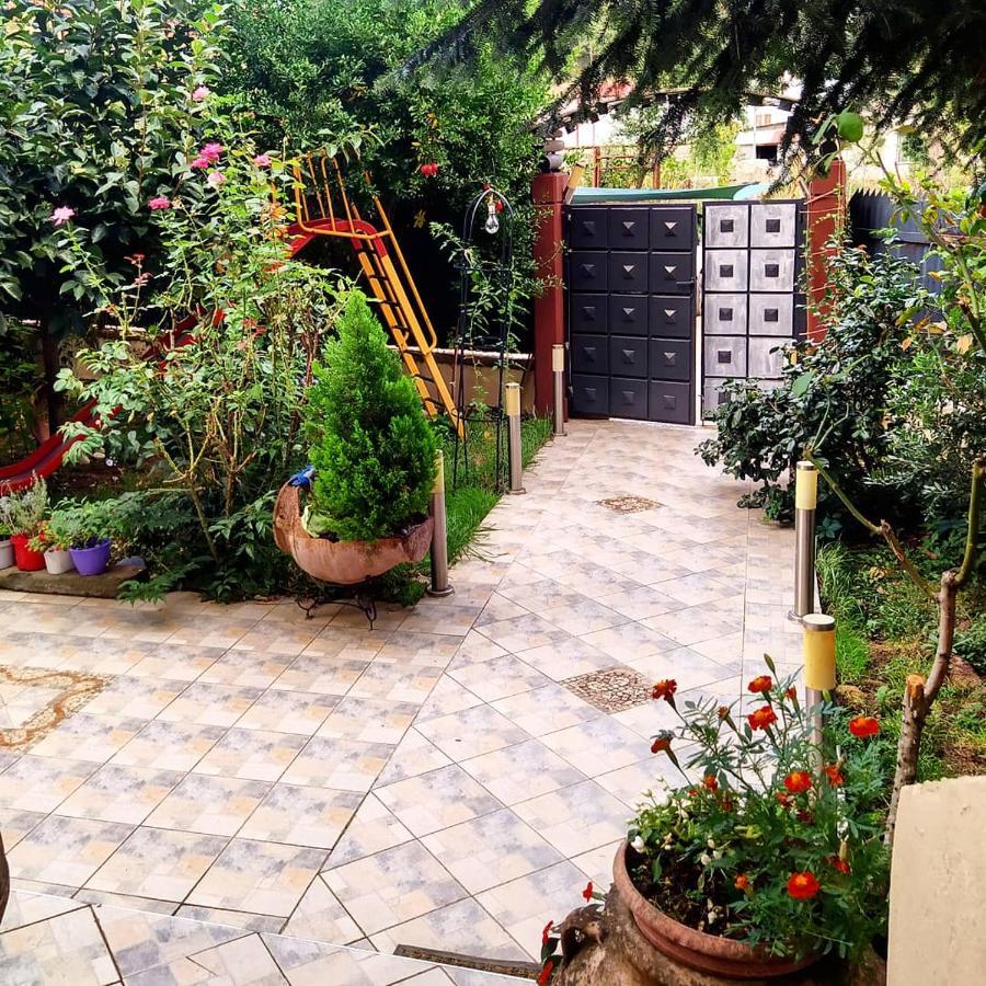 Alexandras Cozy Apartment 约阿尼纳 外观 照片