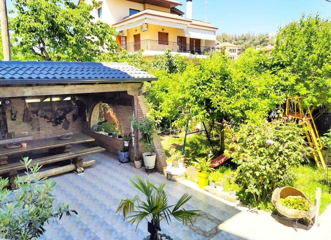 Alexandras Cozy Apartment 约阿尼纳 外观 照片