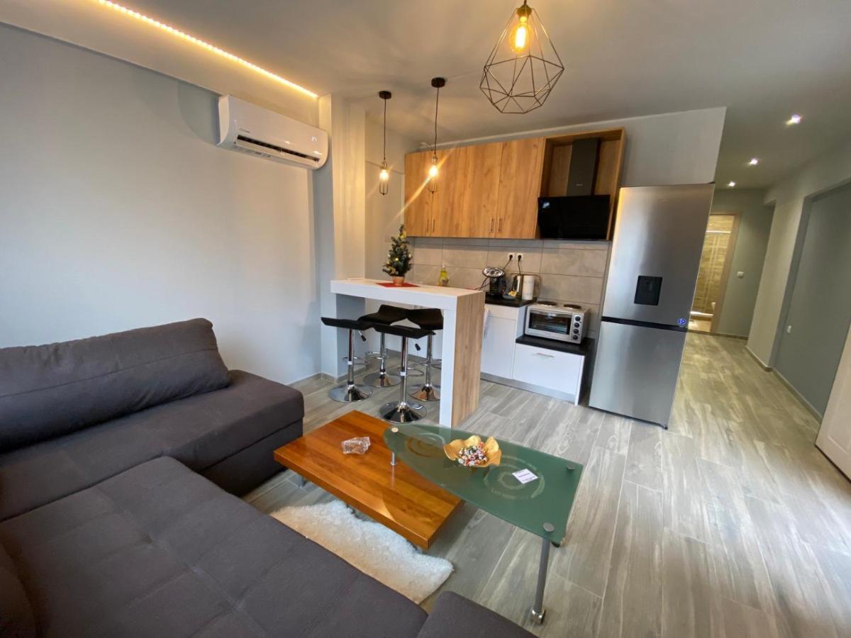 Alexandras Cozy Apartment 约阿尼纳 外观 照片